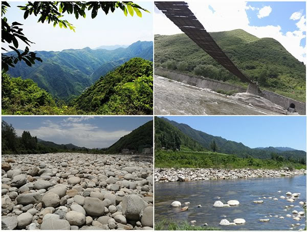 秦岭土蜂蜜哪家好