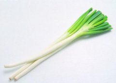 大葱为什么不能跟蜂蜜一起喝？吃了蜂蜜和葱有