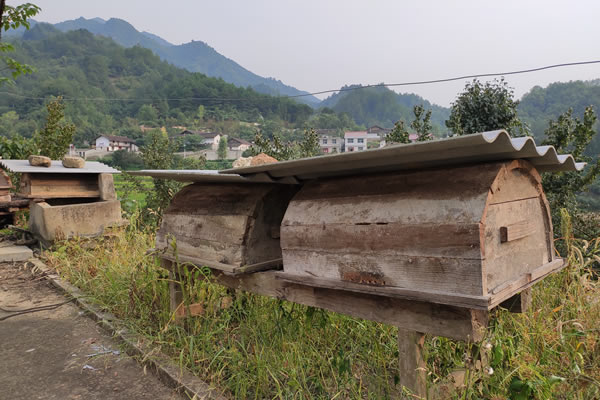 秦岭土蜂蜜多少钱一斤?