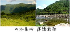 陕南秦岭深山纯天然土蜂蜜