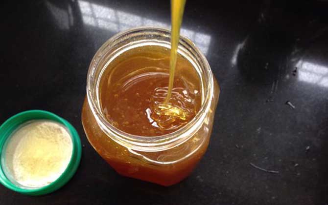 怎样用一杯清水辨别蜂蜜真假？