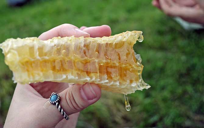 买蜂蜜选哪种比较好?