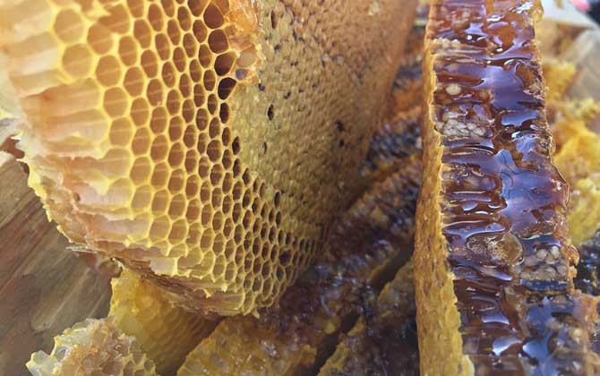 经常喝蜂蜜对身体有好处吗？