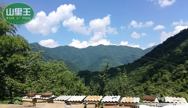 陕南土蜂蜜