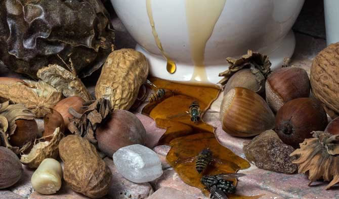 喝蜂蜜为什么有减肥效果？