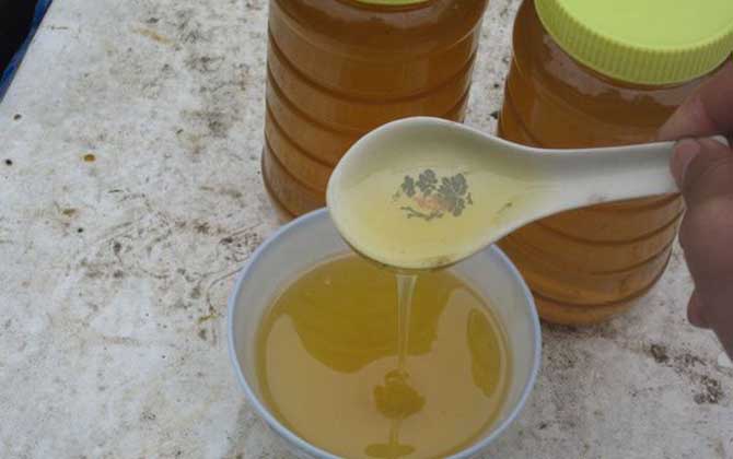 喝白萝卜蜂蜜水有什么禁忌?
