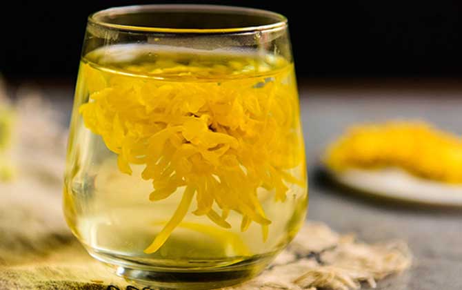 蜂蜜菊花茶的禁忌有哪些？