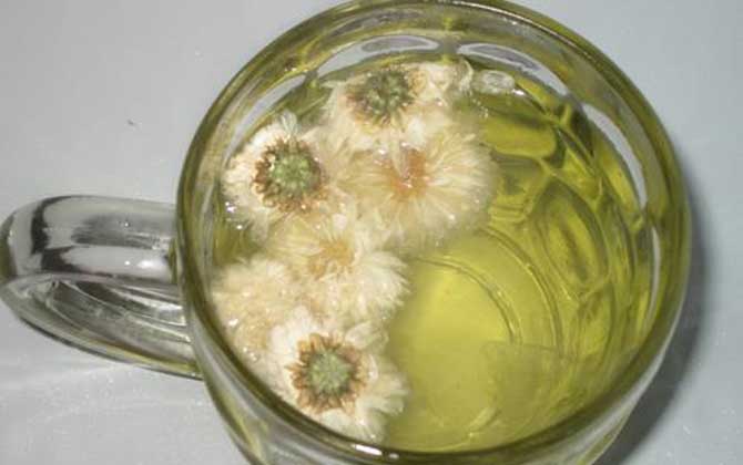 蜂蜜菊花茶的禁忌有哪些？