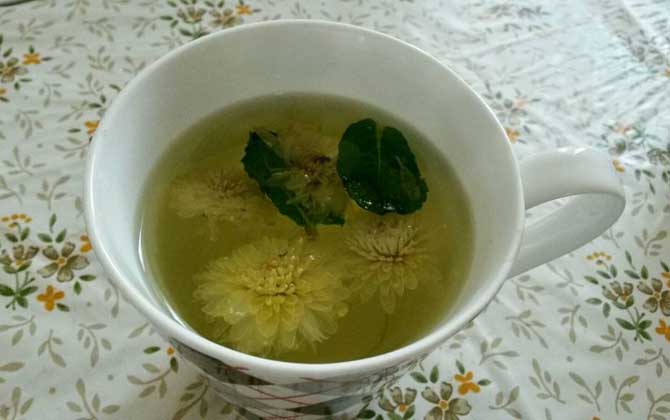蜂蜜菊花茶的禁忌有哪些?