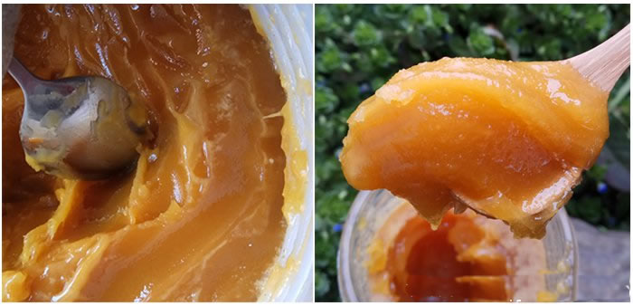 土蜂蜜如何辨真假