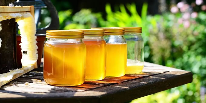 长期喝蜂蜜与从不喝蜂蜜的人相比，哪个更健康？不妨了解一下