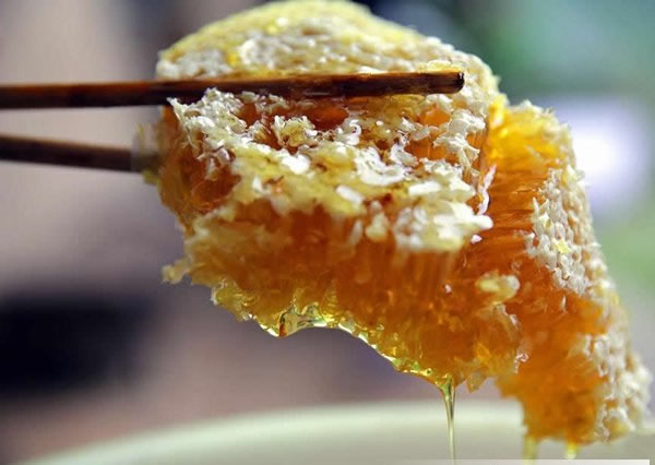 真正的土蜂蜜是这样来的