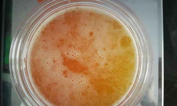 蜂蜜上面有一层白色泡沫