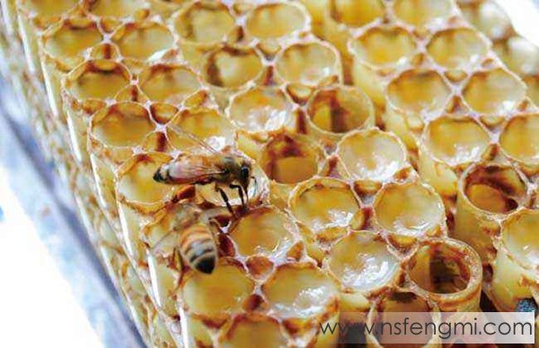 蜂王浆是怎么形成的