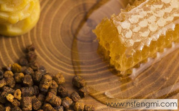 蜜蜂是如何采集生产蜂胶的
