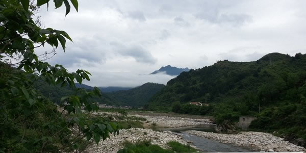 秦岭土蜂蜜图片