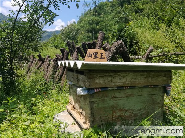 山里王土蜂蜜图片