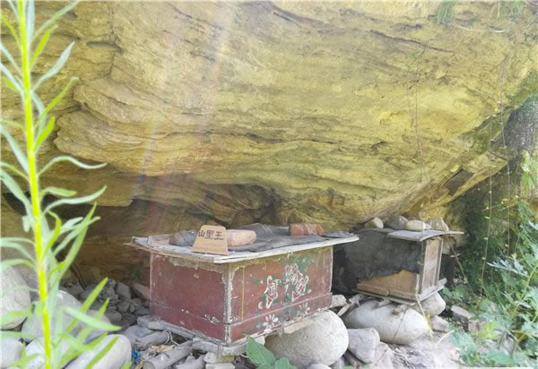 山里王土蜂蜜图片