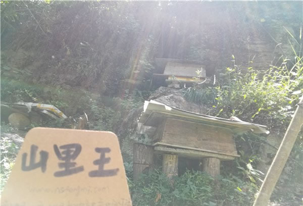 山里王土蜂蜜图片