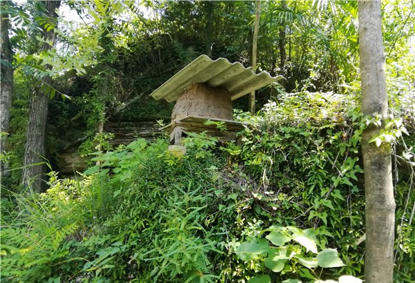 山里王土蜂蜜图片