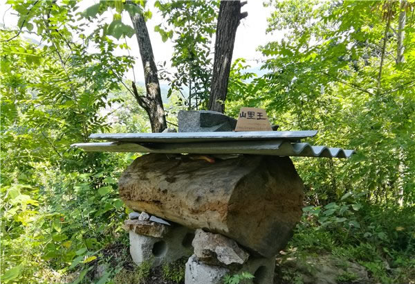 山里王土蜂蜜图片
