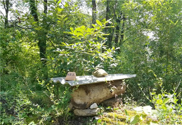 山里王土蜂蜜图片