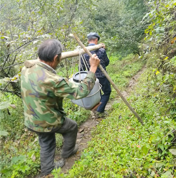 山里王土蜂蜜图片