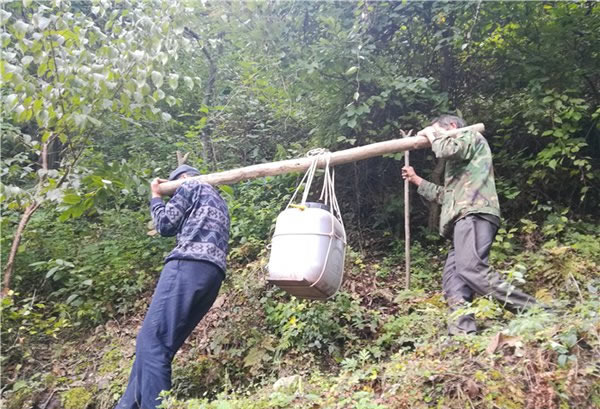 山里王土蜂蜜图片