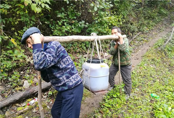 山里王土蜂蜜图片