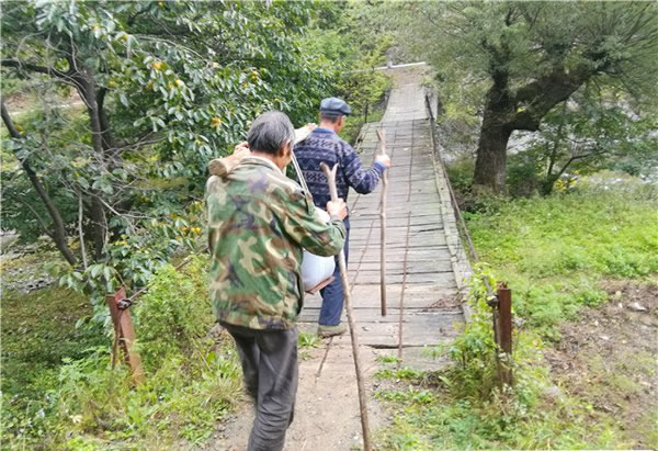 山里王土蜂蜜图片