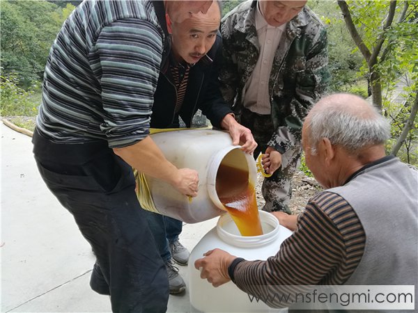 山里王土蜂蜜图片