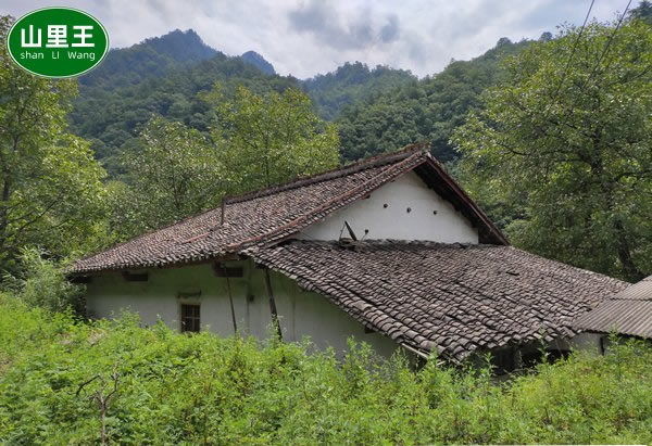 山里王古法木桶蜜