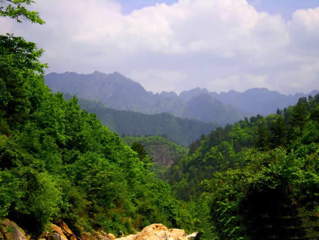 蜜蜂家园-秦岭天华山