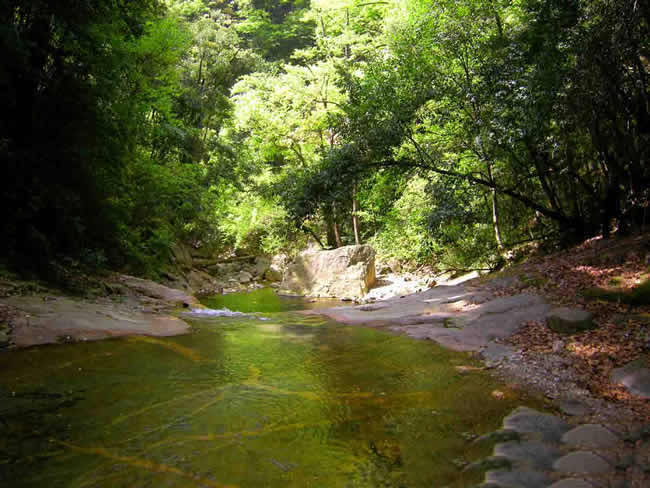 秦岭天华山