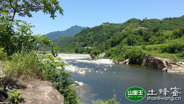 土蜂蜜产地环境