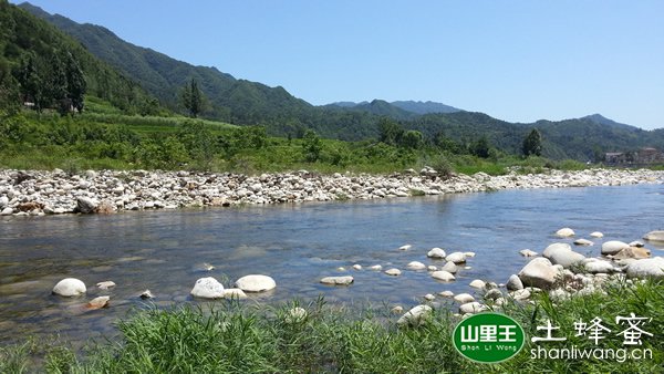 山里王土蜂蜜产地环境