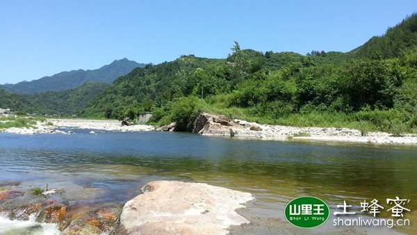 山里王土蜂蜜产地环境