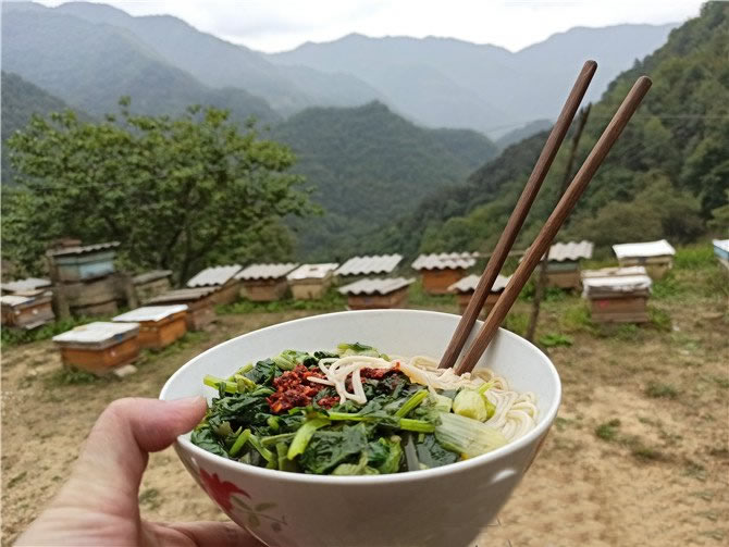 秦岭深山土蜂蜜