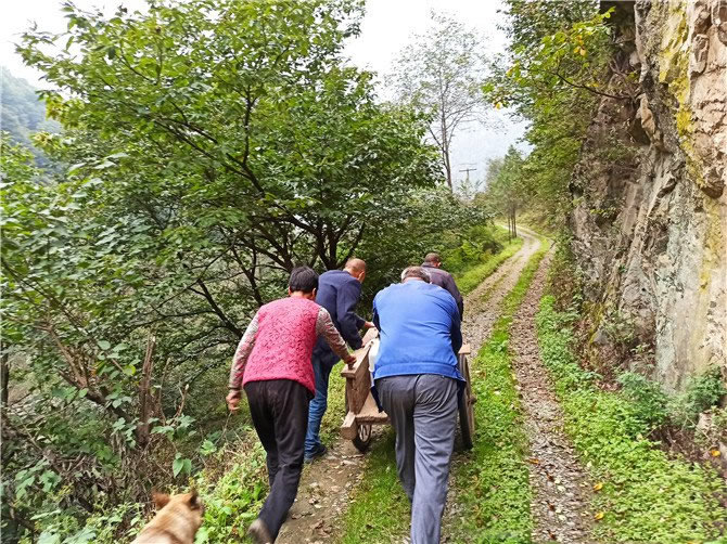 秦岭深山土蜂蜜