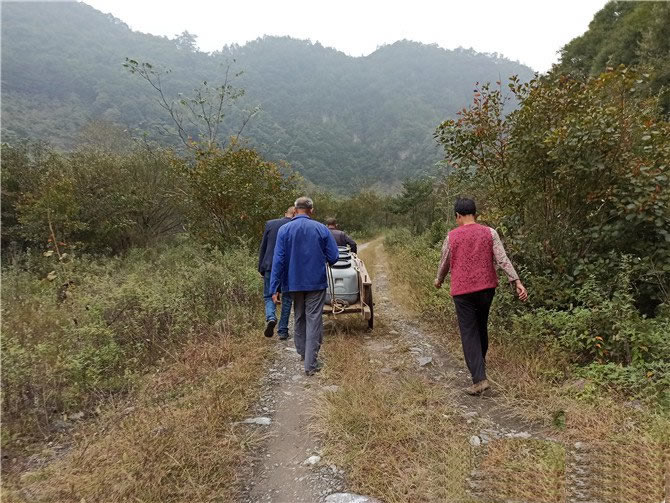 秦岭深山土蜂蜜