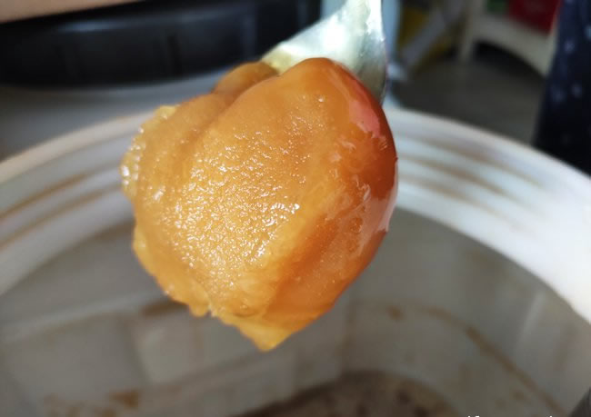 土蜂蜜结晶图片