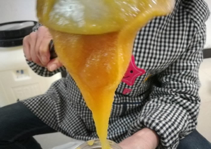 土蜂蜜结晶图片