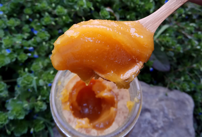 土蜂蜜结晶图片