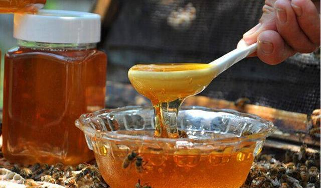 常温如何保存蜂蜜，你真的会保存蜂蜜吗